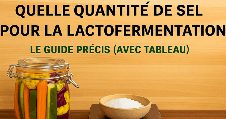 ? Quelle quantité de sel pour la lactofermentation ?